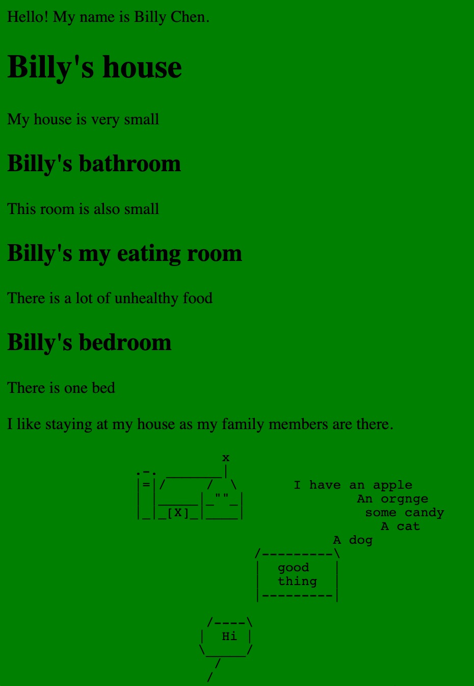 One of the students, Billy Chen's work where he created an HTML webpage using different size headers and ASCII design using pre-formatted text. The website has a green background.